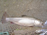 2012年1月2日(月)_f0192504_1713122.jpg