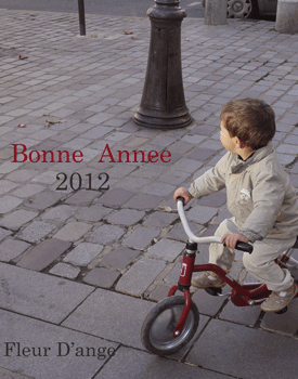 b0111306_20472946.gif