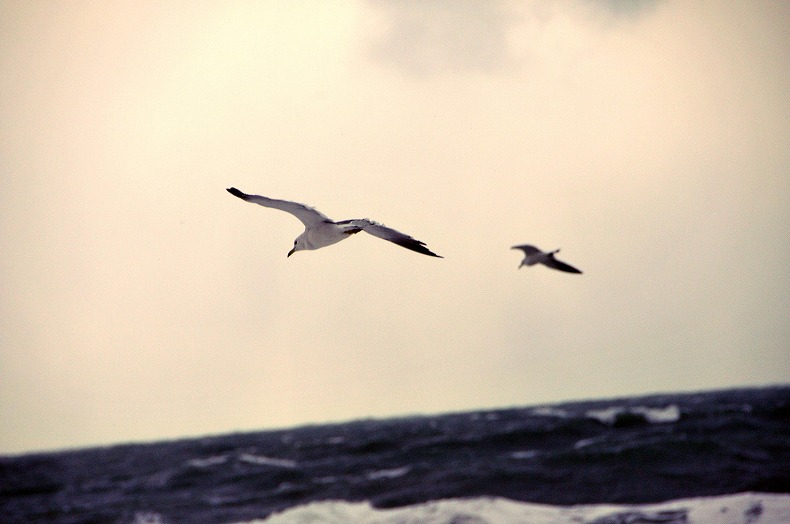 b0128609_020110.jpg
