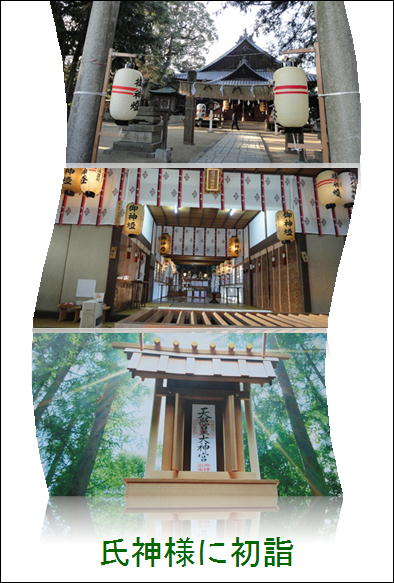 初詣・・・氏神様と石鎚神社に詣でました_f0231709_22485641.jpg