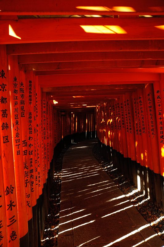 狛辰の居る社＠伏見神宝神社_f0032011_8375967.jpg