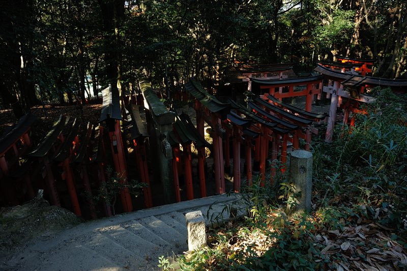 狛辰の居る社@伏見神宝神社_f0032011_8435956.jpg