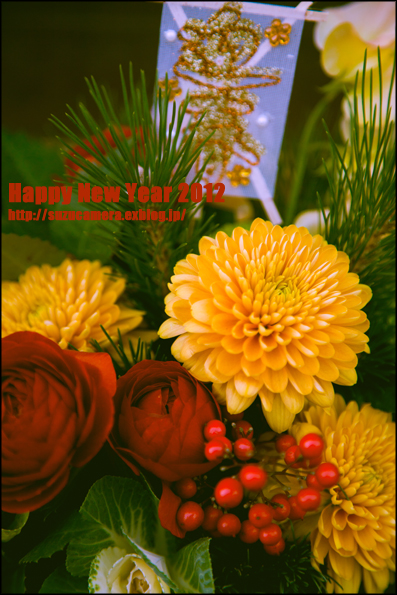 2012年のスタートです!_f0100215_23172530.jpg