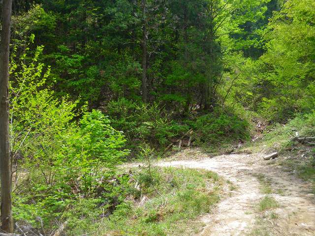 a0243317_11593377.jpg