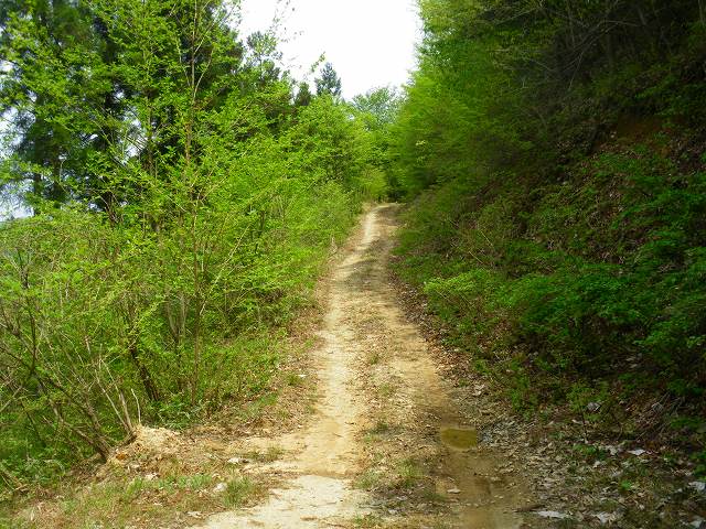 a0243317_121379.jpg