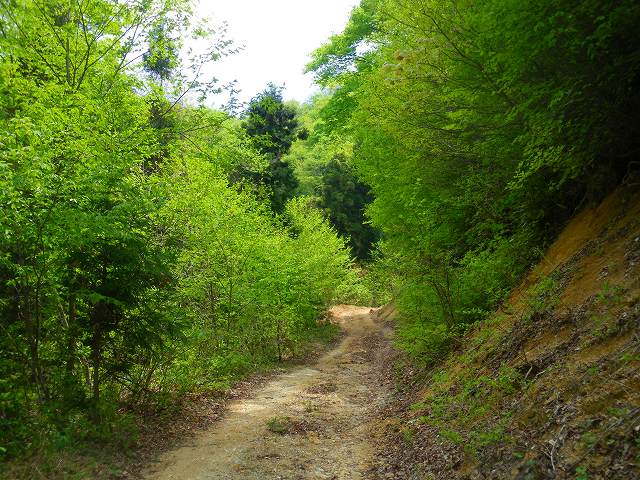 a0243317_1253392.jpg