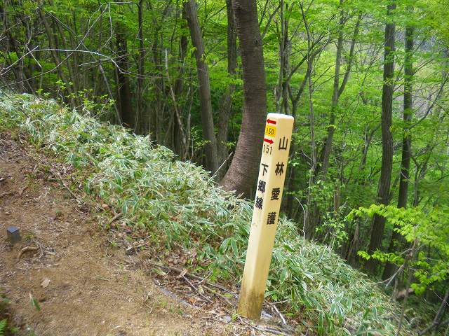 a0243317_12562229.jpg