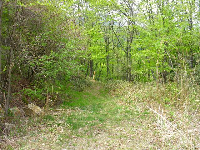 a0243317_1256421.jpg