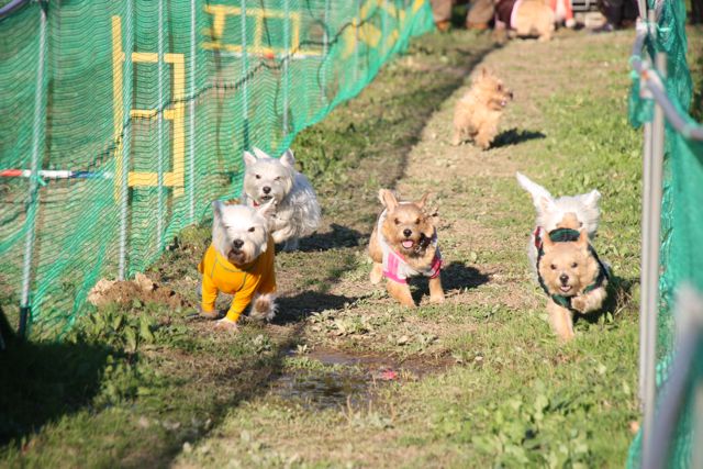 １２／４は「すいらん」で遊びました♪_b0120217_11142664.jpg