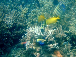 a0043520_541741.jpg