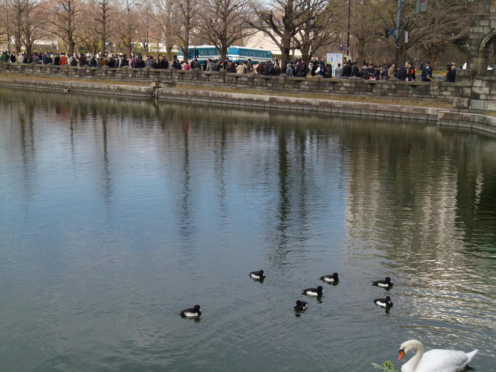 b0190921_22816.jpg