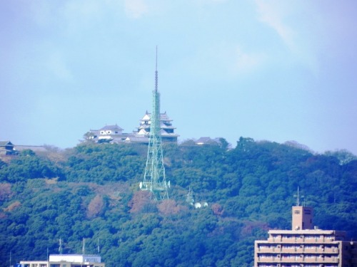 2012年初詣　49番浄土寺から51番石手寺へ歩き遍路_f0213825_211133.jpg