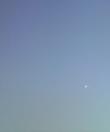 a0188926_039077.jpg