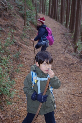 高見山へ(長編)_c0113733_12511774.jpg