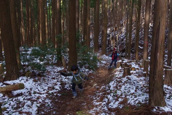 高見山へ(長編)_c0113733_12532816.jpg