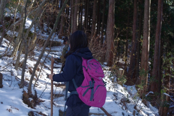 高見山へ(長編)_c0113733_12575378.jpg
