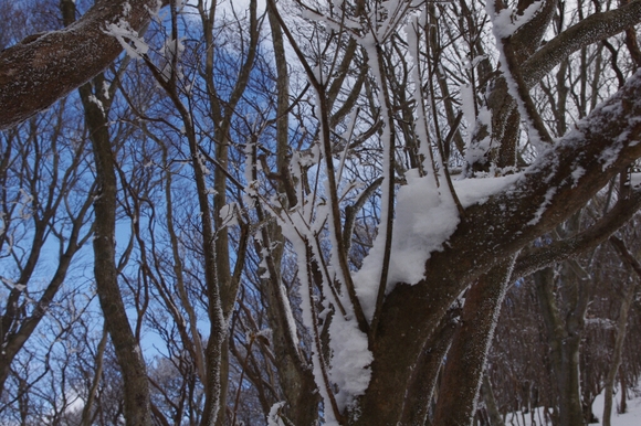 高見山へ(長編)_c0113733_1325228.jpg