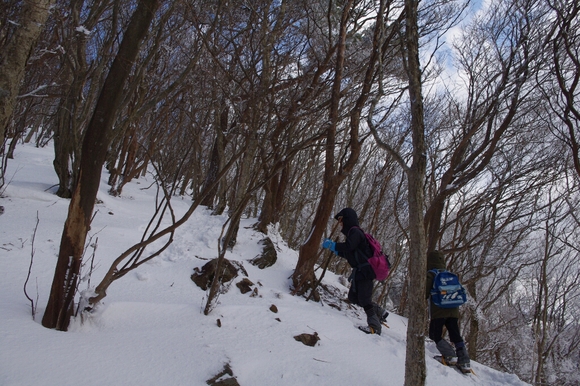 高見山へ(長編)_c0113733_1333345.jpg