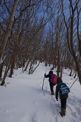 高見山へ(長編)_c0113733_1341936.jpg