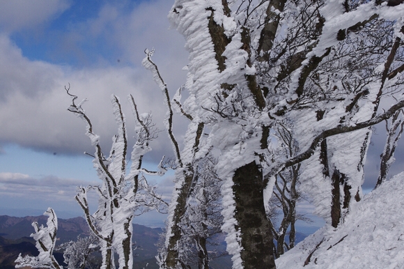 高見山へ(長編)_c0113733_1349857.jpg