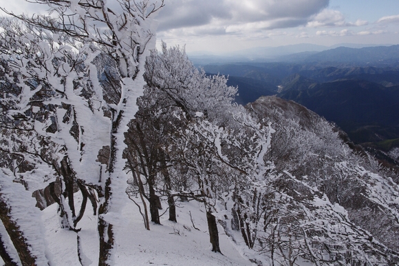 高見山へ(長編)_c0113733_13501478.jpg