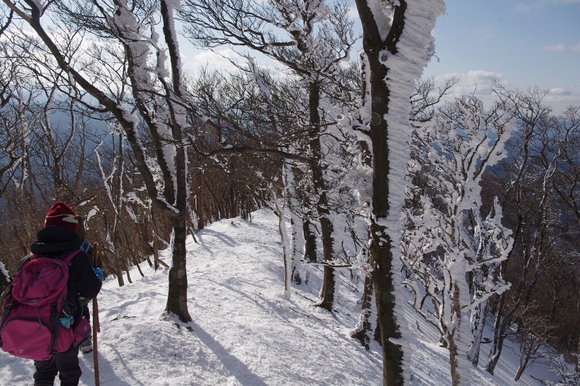 高見山へ(長編)_c0113733_13524013.jpg