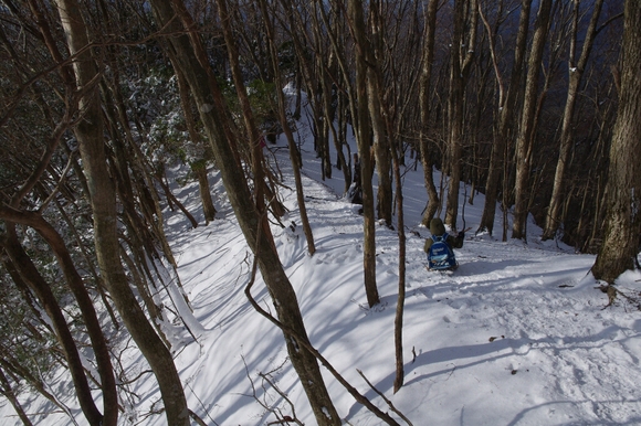 高見山へ(長編)_c0113733_13541535.jpg