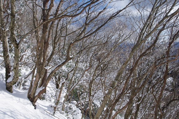 高見山へ(長編)_c0113733_1354437.jpg