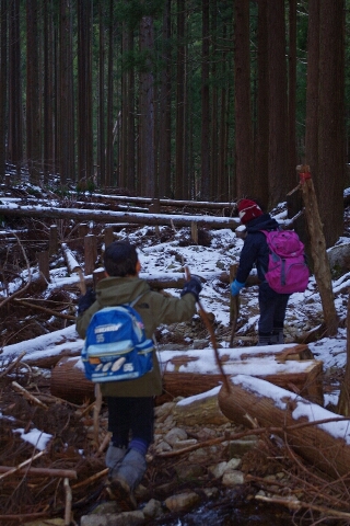 高見山へ(長編)_c0113733_13545316.jpg