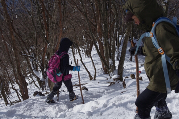 高見山へ(長編)_c0113733_1354642.jpg