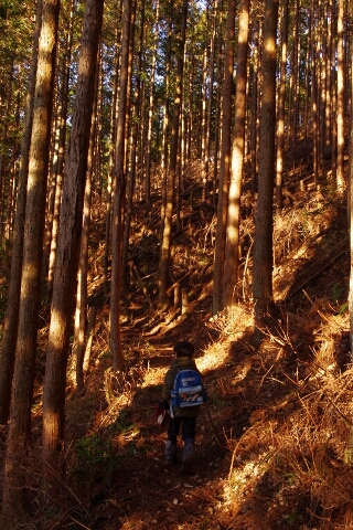 高見山へ(長編)_c0113733_1355144.jpg