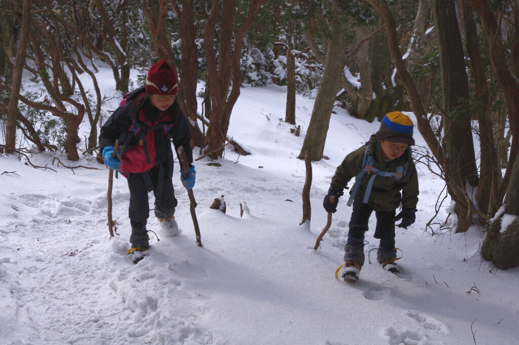 高見山へ(長編)_c0113733_14125446.jpg