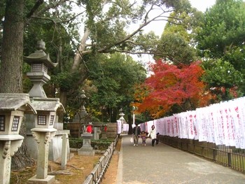 平成24年お正月_c0134734_22495875.jpg