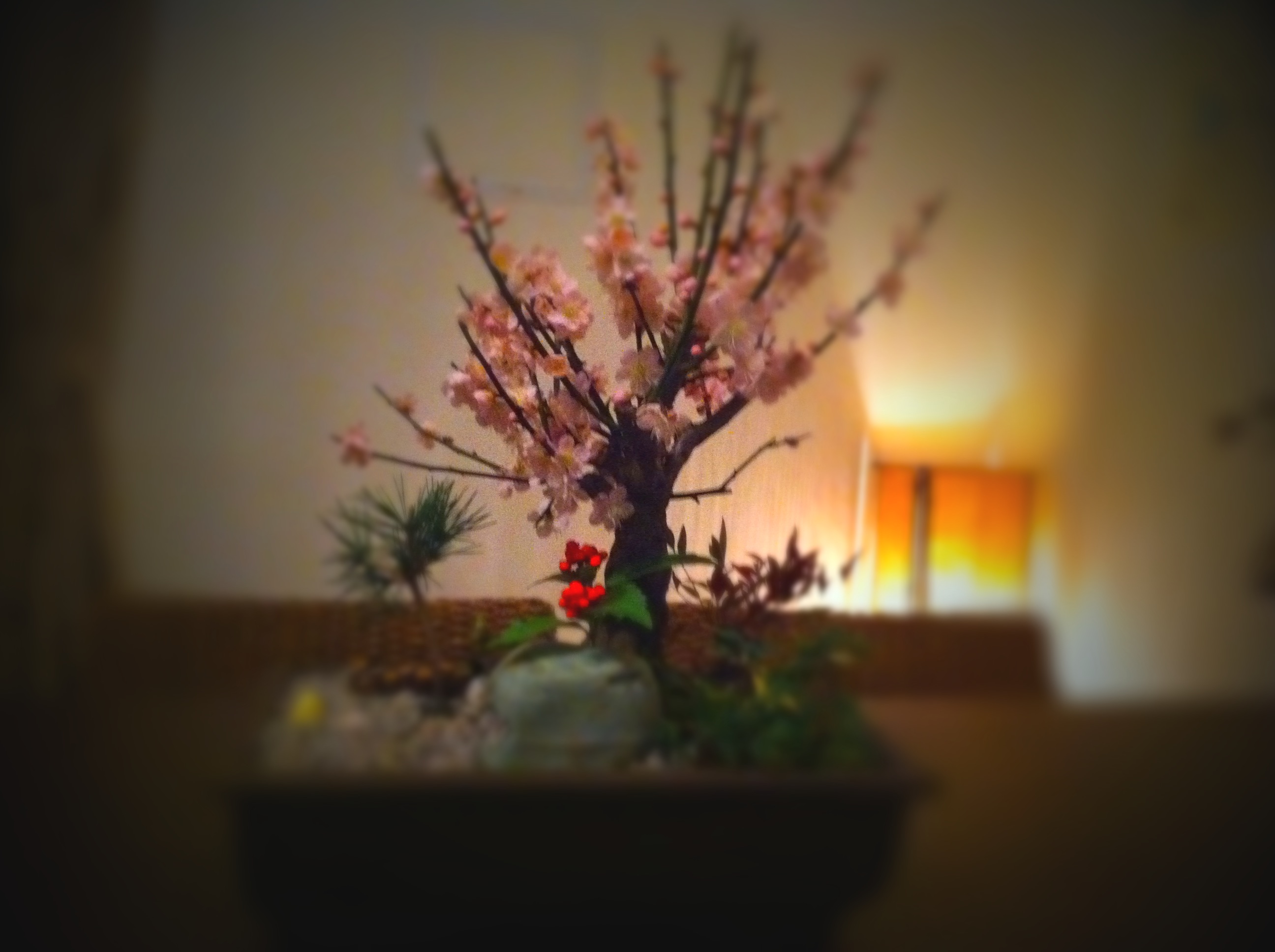 謹賀新年_a0072337_1891074.jpg