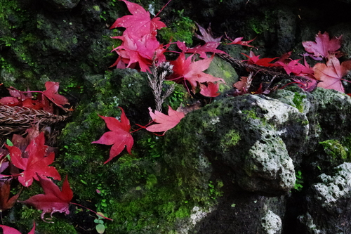 北口本宮富士浅間神社２_d0185744_5552828.jpg