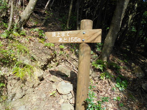 a0206345_160404.jpg