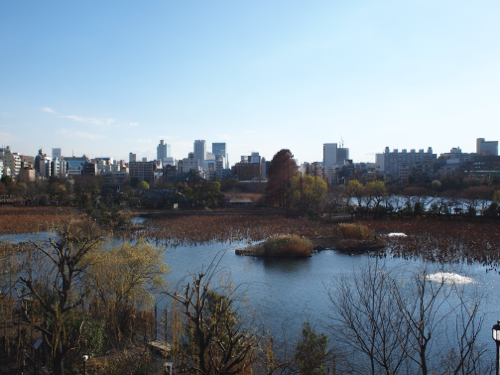 上野動物園_f0035251_225641100.jpg