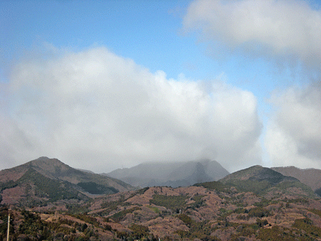 a0001354_2294828.gif