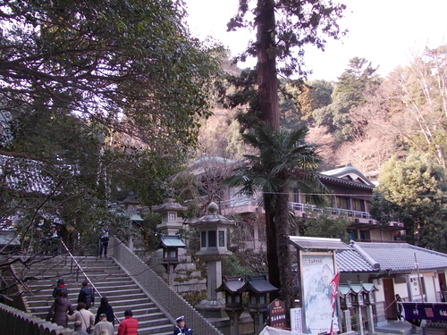 f0228664_9503164.jpg