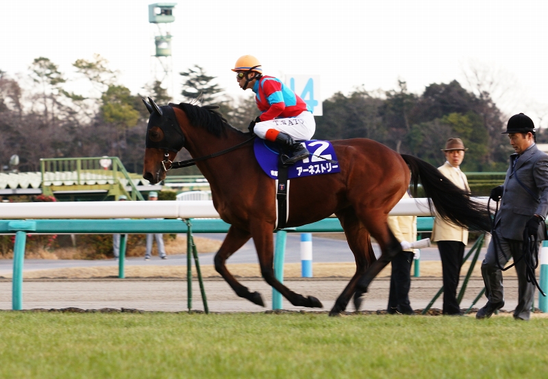 馬のメモ帳　　アーモンドアイ&ワグネリアン 馬のメモ帳アーモンドアイ&ワグネリアン