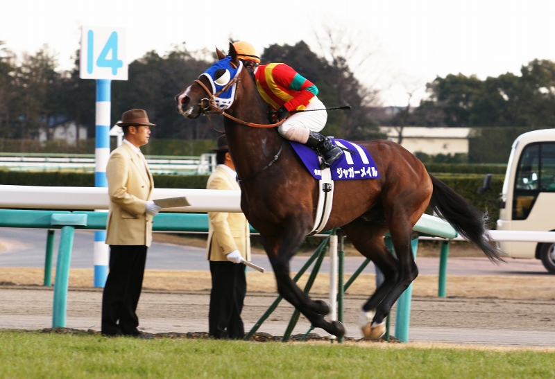 これは凄すぎる馬、オルフェーブル（2011有馬記念①）。 : Turf