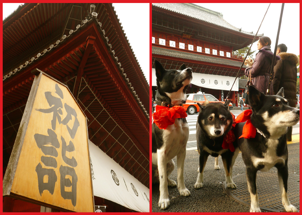 謹賀新年。初詣で。_e0236072_21562938.jpg