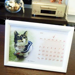 【可憐だー2012】_d0224894_23505264.jpg
