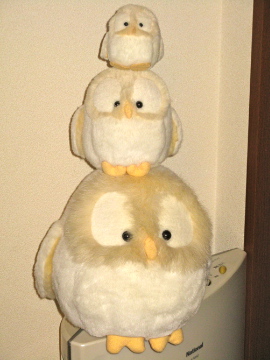 a0117599_1134144.jpg
