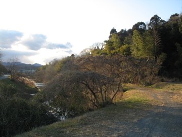 a0117599_17114075.jpg