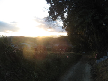 a0117599_1714688.jpg