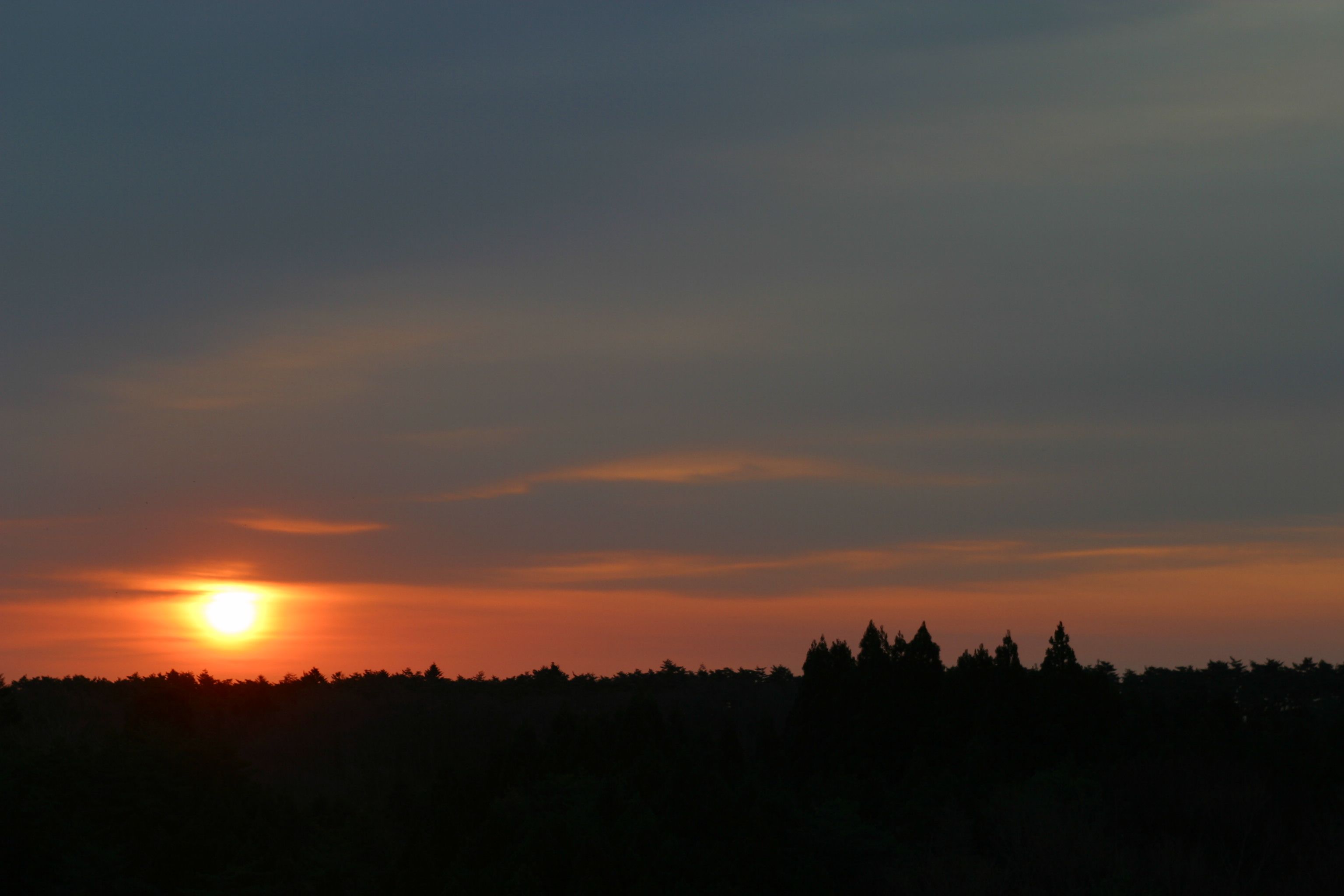 b0220099_17405315.jpg