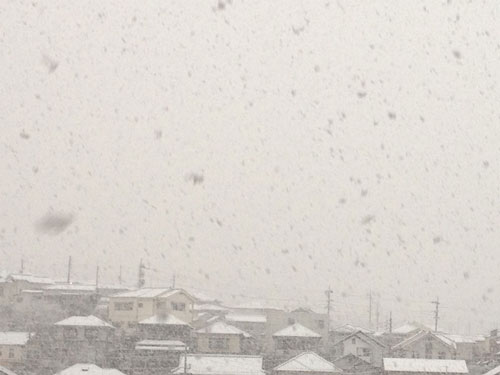 一族大結集_a0047200_9211564.jpg