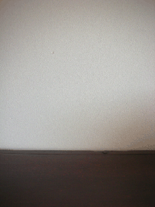 e0183600_1343171.gif