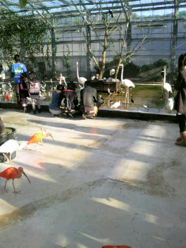 e0255100_23229.jpg